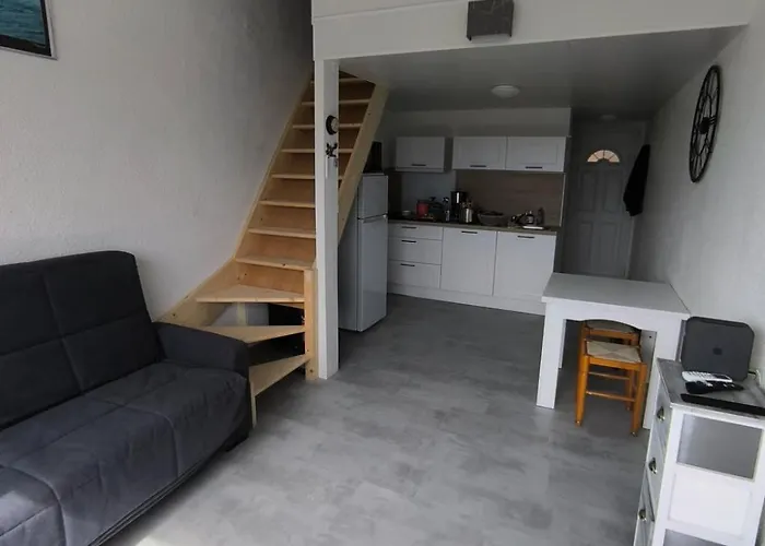 Avec Vue Sur L Etang De Barcares *